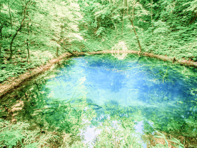 青池